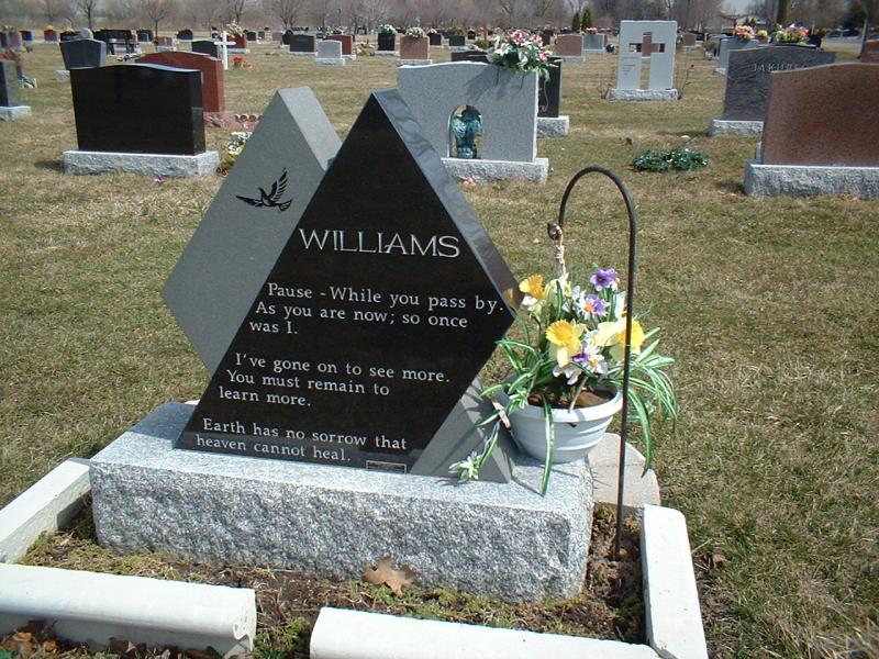 williams_back.jpg.jpg